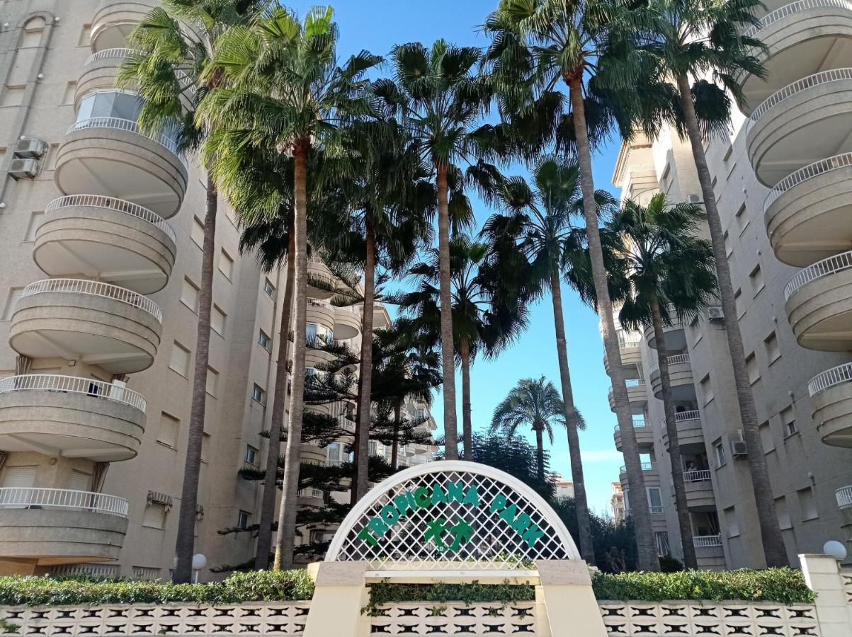 Tropicana Park Solo Familias Serviplaya ガンディア エクステリア 写真
